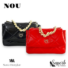 Load image into Gallery viewer, Sara Burglar bag